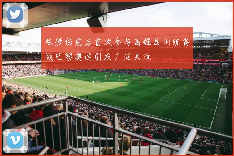 陈梦伤愈后首次参与高强度训练备战巴黎奥运引发广泛关注